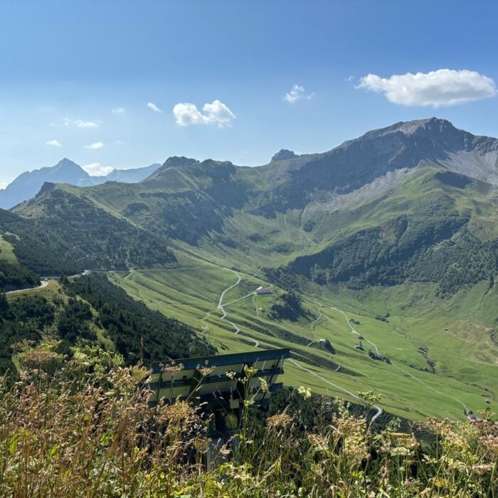 06.jpg
