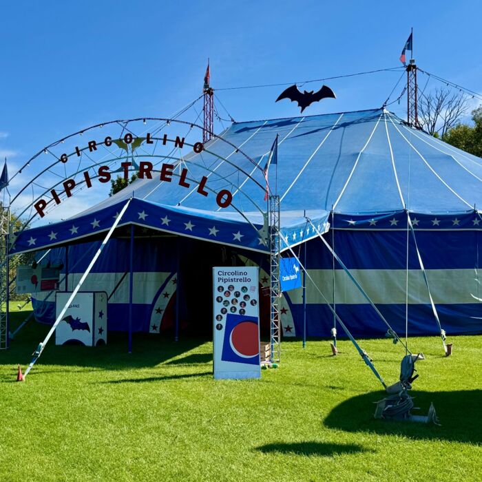 Circolino Pipistrello