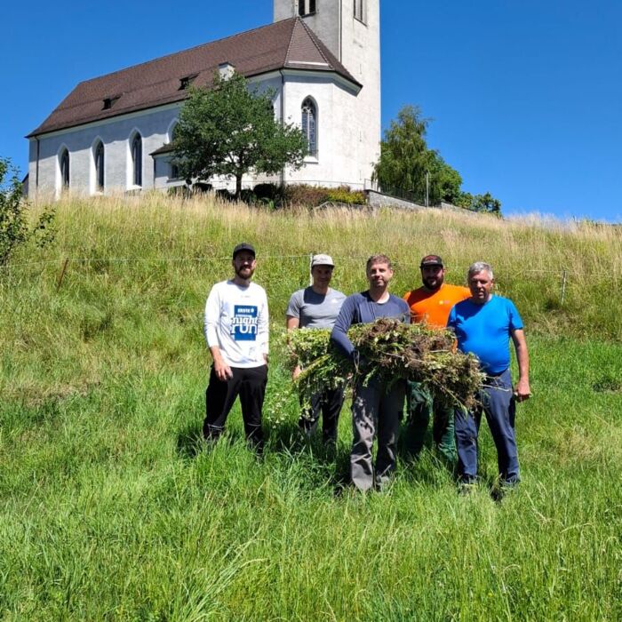 Neophyten_2026_2.jpeg