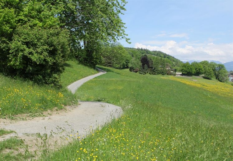 Historischer Höhenweg Eschnerberg